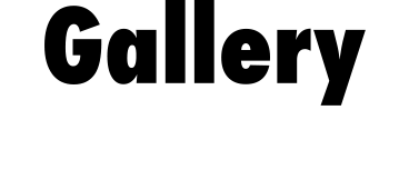 Gallery Photo Download